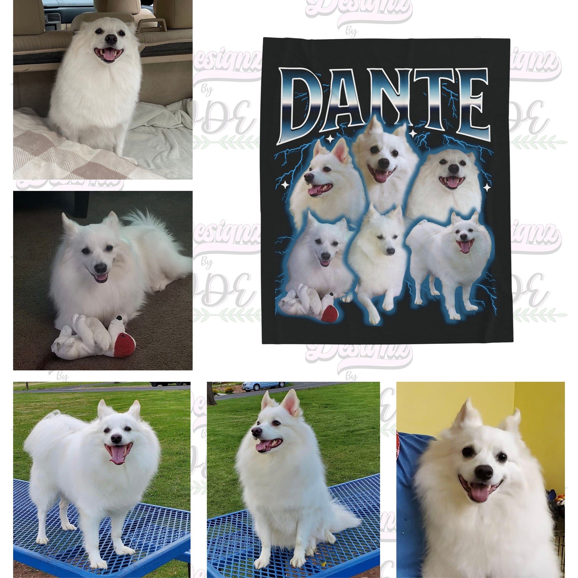 Custom Pet Photo Blanket, Custom Pet Blanket, Cat Blanket Custom, Customizable Photo Blanket, Custom Photo Collage Blanket, Custom Blanket