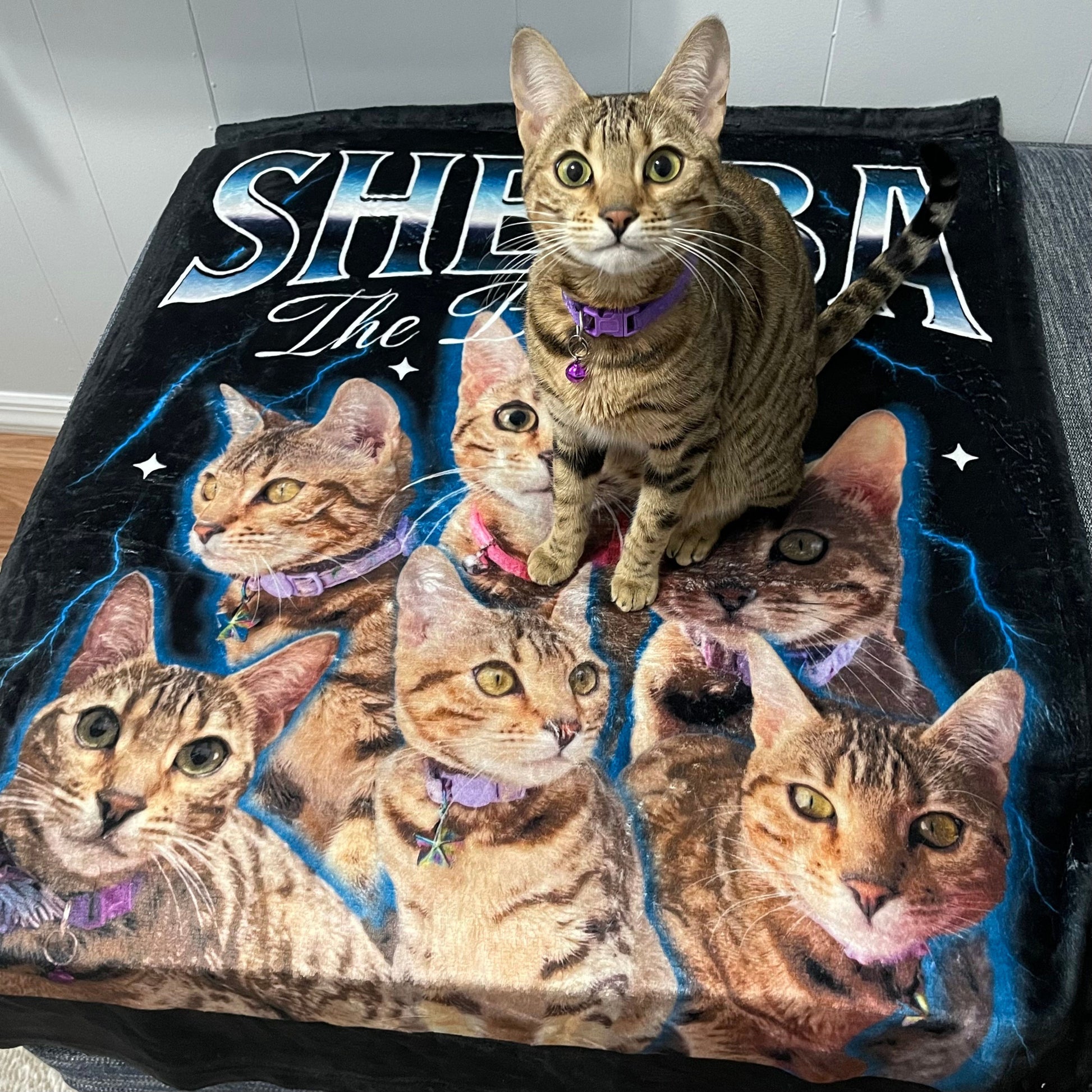 Custom Pet Photo Blanket, Custom Pet Blanket, Cat Blanket Custom, Customizable Photo Blanket, Custom Photo Collage Blanket, Custom Blanket